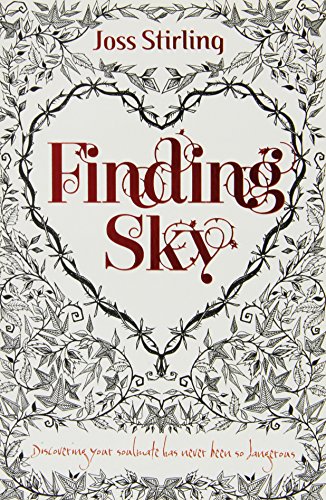 Book Cover Finding Sky. Joss Stirling