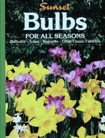 Book Cover Bulbs