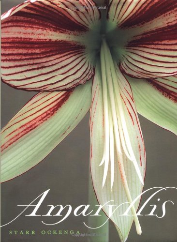 Book Cover Amaryllis