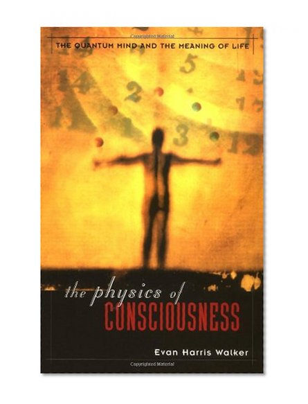 Book Cover The Physics Of Consciousness: The Quantum Mind And The Meaning Of Life