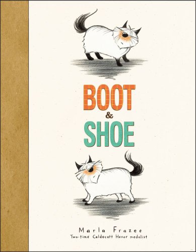 Book Cover Boot & Shoe