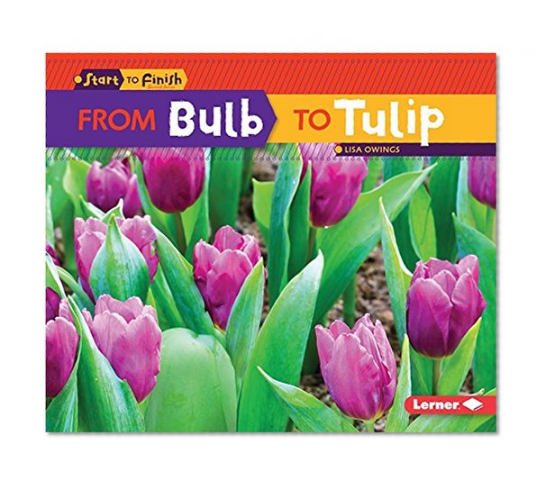 Book Cover From Bulb to Tulip (Start to Finish, Second Series)