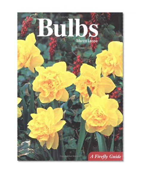 Book Cover Bulbs (A Firefly Guide)