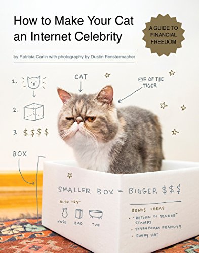 Book Cover How to Make Your Cat an Internet Celebrity: A Guide to Financial Freedom