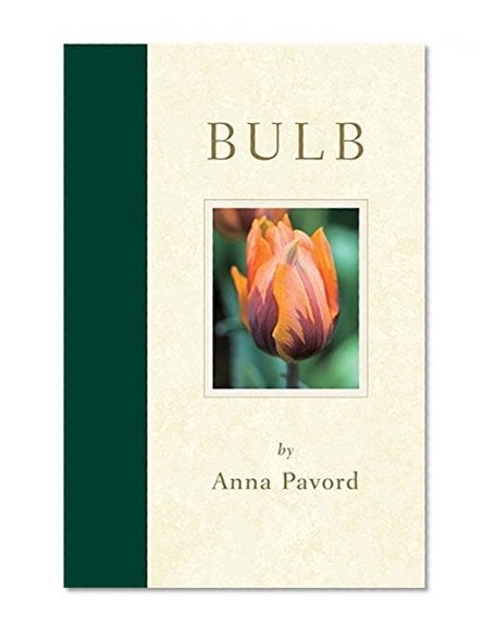 Book Cover Bulb
