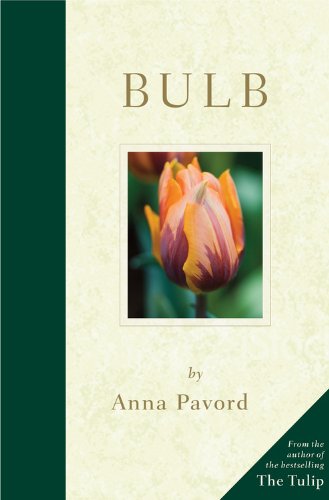 Book Cover Bulb