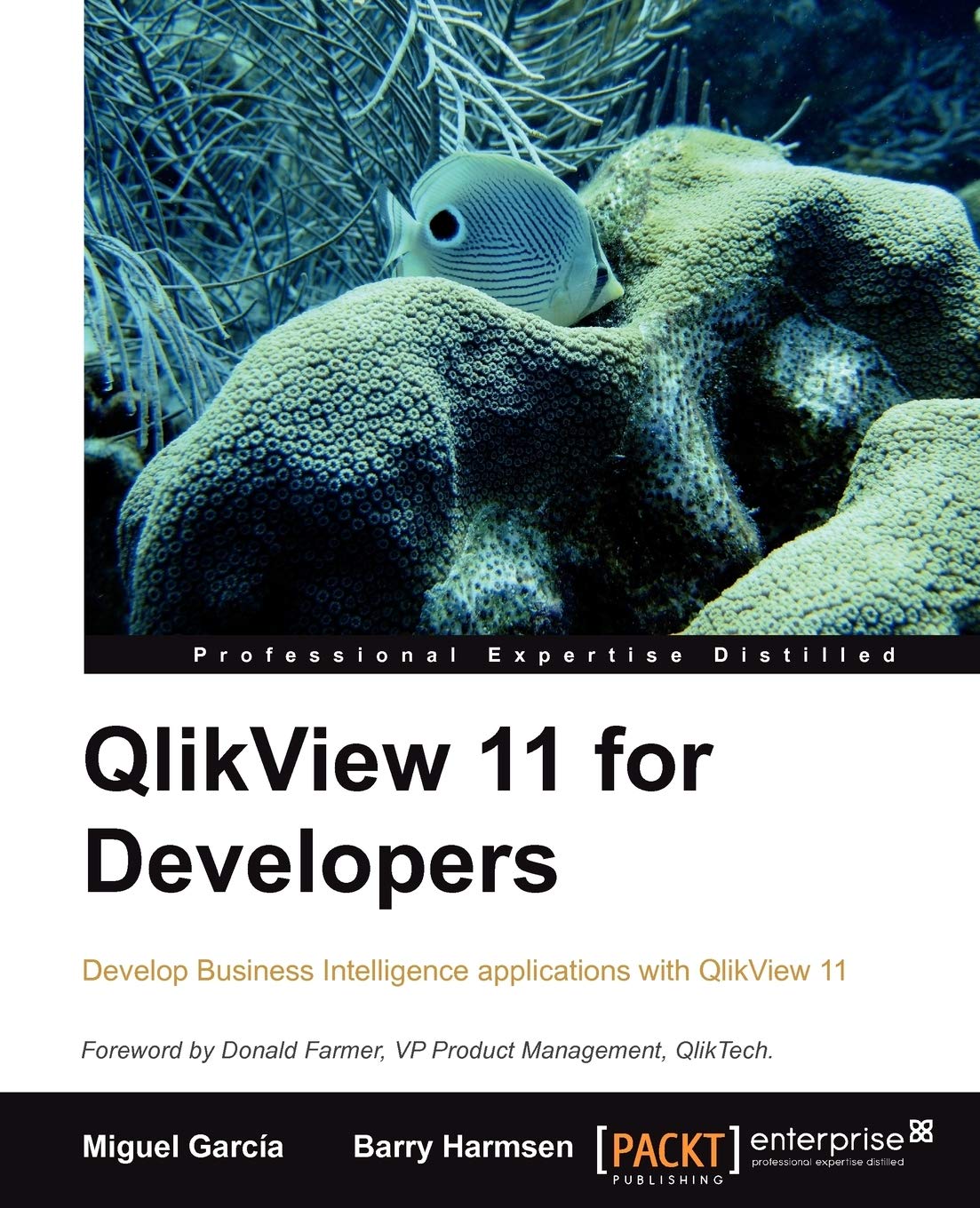 Book Cover QlikView 11 for Developers: Effective analytics techniques for modern Business Intelligence