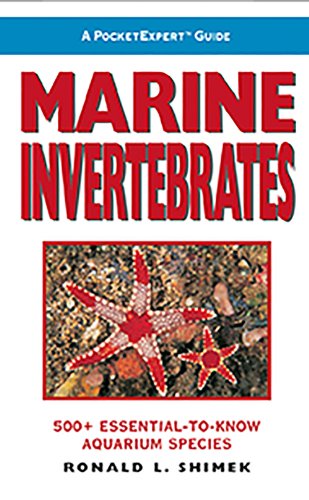 Book Cover A PocketExpert Guide to Marine Invertebrates: 500+ Essential-to-Know Aquarium Species