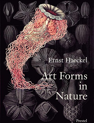 Book Cover Art Forms in Nature: The Prints of Ernst Haeckel