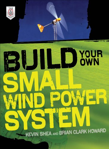 Book Cover Build Your Own Small Wind Power System (Electronics)