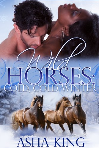 Book Cover Wild Horses: Cold Cold Winter (Stirling Falls)