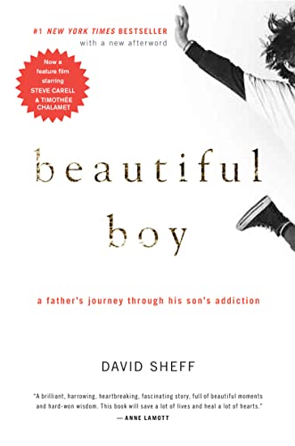 Book Cover Beautiful Boy: A Father's Journey Through His Son's Addiction