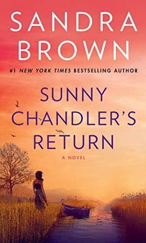 Book Cover Sunny Chandler's Return: A Novel