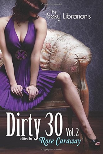 Book Cover The Sexy Librarian's Dirty 30, Vol.2
