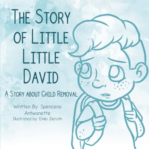 Book Cover The Story of Little Little David: A Story About Child Removal