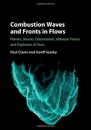 Book Cover Combustion Waves and Fronts in Flows: Flames, Shocks, Detonations, Ablation Fronts and Explosion of Stars