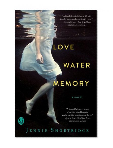 Book Cover Love Water Memory