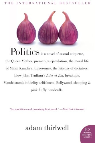 Book Cover Politics: A Novel