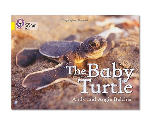 Book Cover The Baby Turtle (Collins Big Cat)