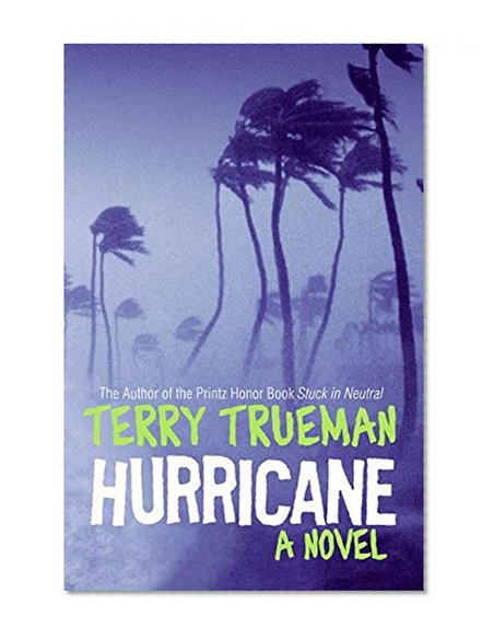 Book Cover Hurricane: A Novel