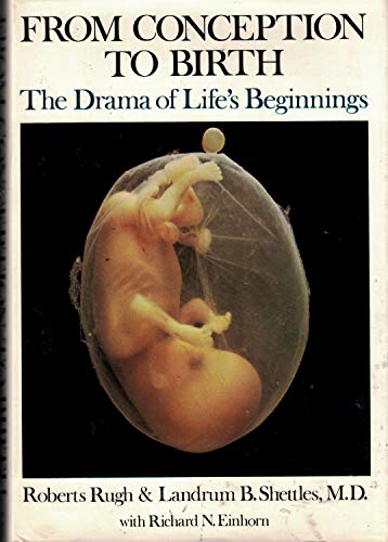 Book Cover From Conception to Birth: The Drama of Life's Beginnings