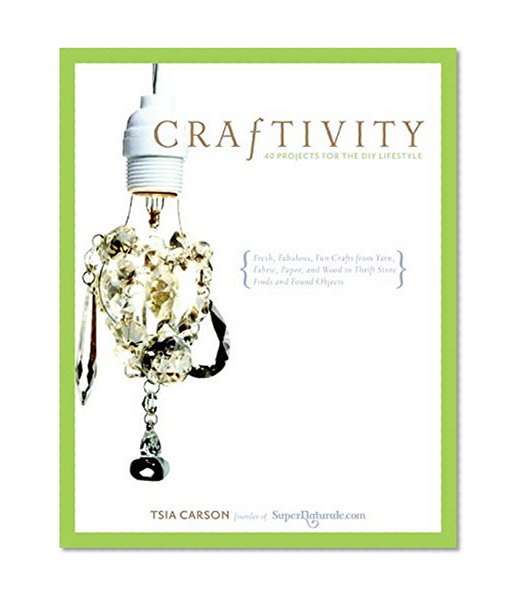 Book Cover Craftivity: 40 Projects for the DIY Lifestyle
