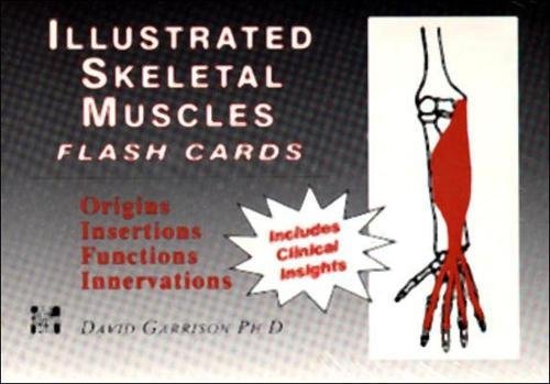 Book Cover Illustrated Skeletal and Muscle Flash Cards