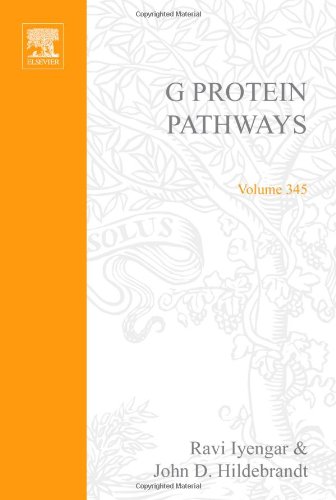Book Cover G Protein Pathways, Part C: Effector Mechanisms, Volume 345 (Methods in Enzymology)