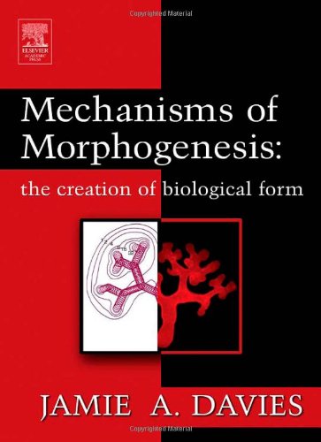 Book Cover Mechanisms of Morphogenesis