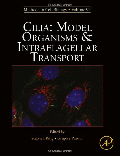 Book Cover Cilia: Model Organisms and Intraflagellar Transport, Volume 93 (Methods in Cell Biology)