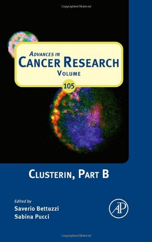 Book Cover Clusterin, Part B, Volume 105 (Advances in Cancer Research)