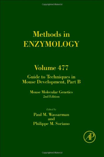 Book Cover Guide to Techniques in Mouse Development, Part B, Volume 477: Mouse Molecular Genetics (Methods in Enzymology)