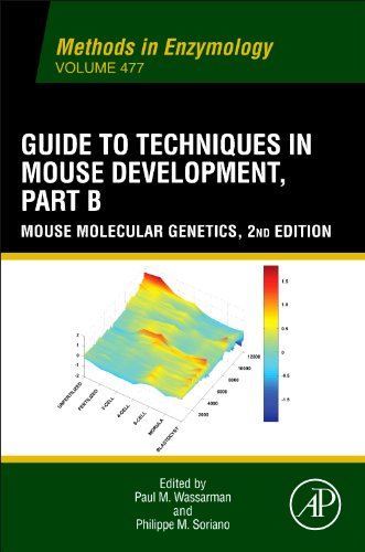 Book Cover Guide to Techniques in Mouse Development, Part B: Mouse Molecular Genetics (Methods in Enzymology)