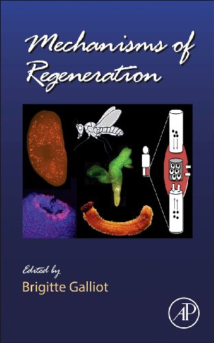 Book Cover Mechanisms of Regeneration, Volume 108 (Current Topics in Developmental Biology)