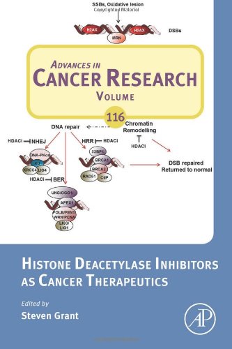 Book Cover Histone Deacetylase Inhibitors as Cancer Therapeutics, Volume 116 (Advances in Cancer Research)
