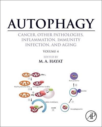 Book Cover Autophagy: Cancer, Other Pathologies, Inflammation, Immunity, Infection, and Aging: Volume 4 - Mitophagy