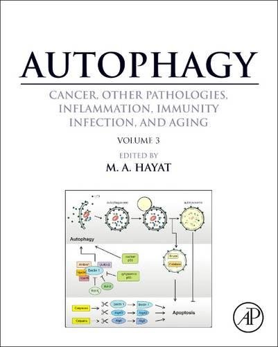 Book Cover Autophagy: Cancer, Other Pathologies, Inflammation, Immunity, Infection, and Aging: Volume 3 - Role in Specific Diseases