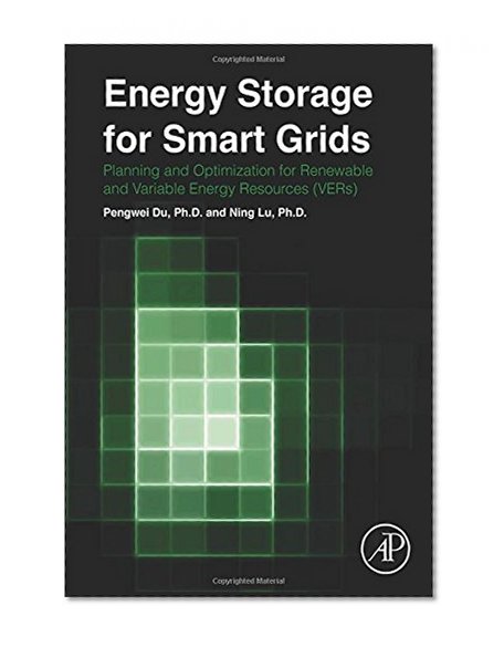 Book Cover Energy Storage for Smart Grids: Planning and Operation for Renewable and Variable Energy Resources (VERs)
