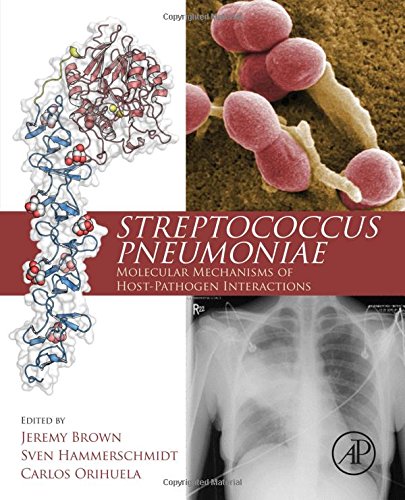 Book Cover Streptococcus Pneumoniae: Molecular Mechanisms of Host-Pathogen Interactions