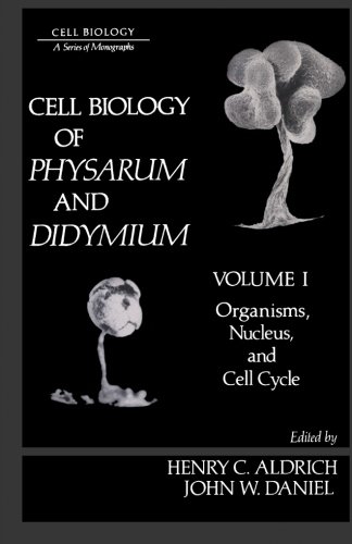 Book Cover Cell Biology of Physarum and Didymium, Volum I: Organisms, Nucleus, and cell Cycle