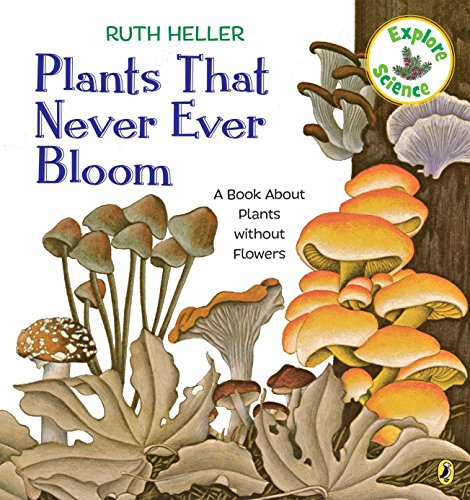 Book Cover Plants That Never Ever Bloom: A Book About Plants without Flowers (Explore!)