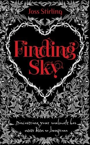 Book Cover Finding Sky