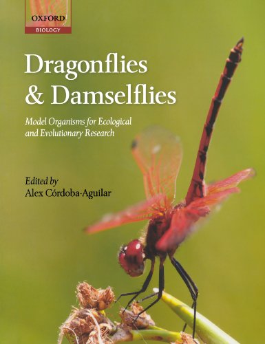 Book Cover Dragonflies and Damselflies: Model Organisms for Ecological and Evolutionary Research