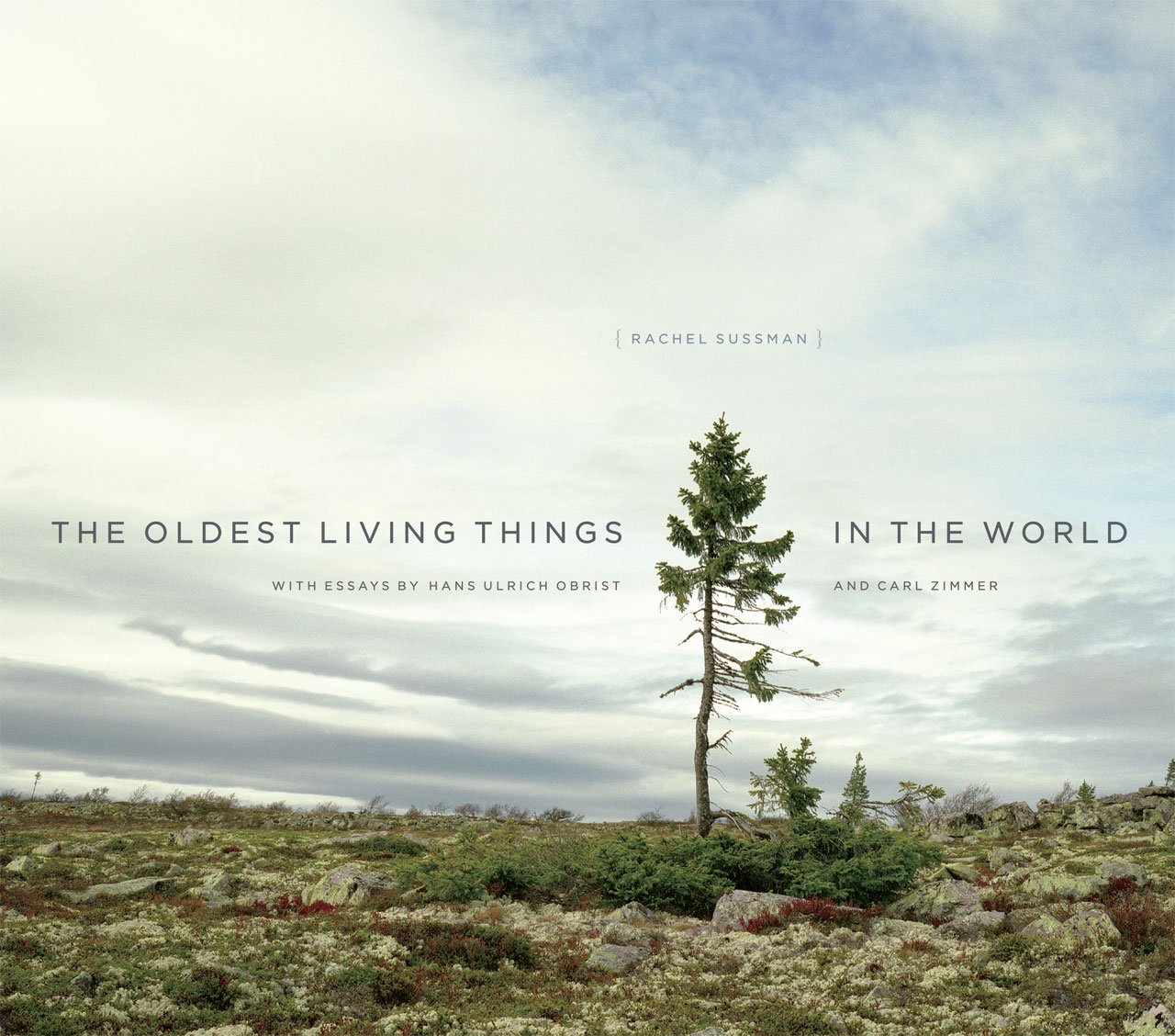 Book Cover The Oldest Living Things in the World