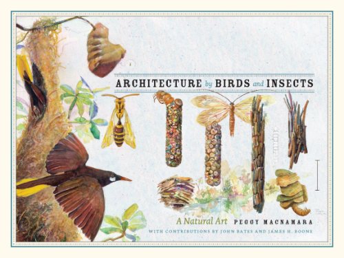 Book Cover Architecture by Birds and Insects: A Natural Art