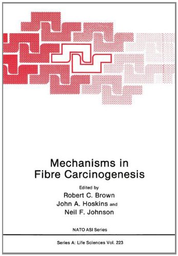 Book Cover Mechanisms in Fibre Carcinogenesis (Nato Science Series A:)