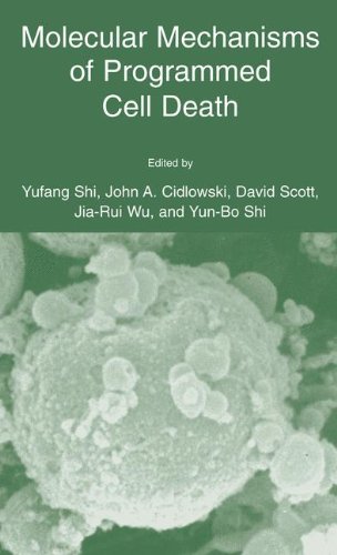 Book Cover Molecular Mechanisms of Programmed Cell Death