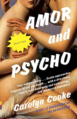 Book Cover Amor and Psycho (Vintage Contemporaries)