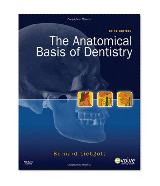 Book Cover The Anatomical Basis of Dentistry