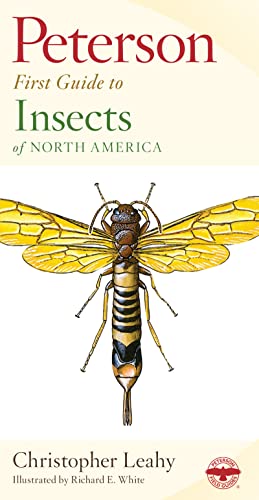 Book Cover Peterson First Guide To Insects Of North America